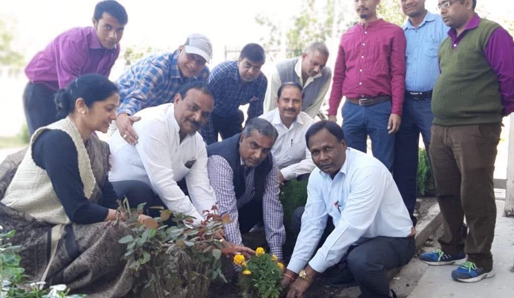 State Foundation Day celebrated by planting saplings