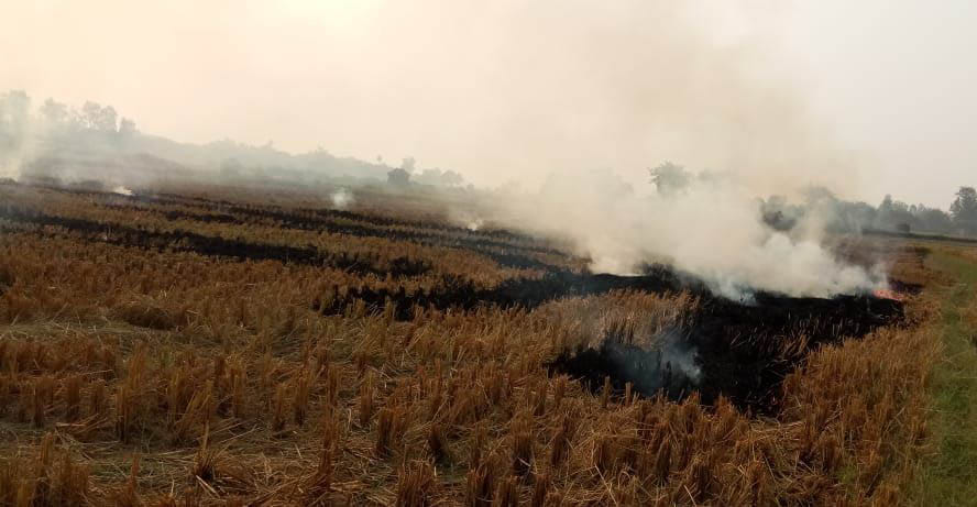 Three farmers caught burning straw