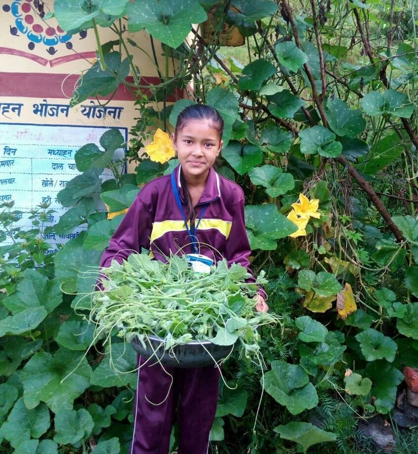 Junior High School Rowleyana ranked in Kitchen Garden Guideline
