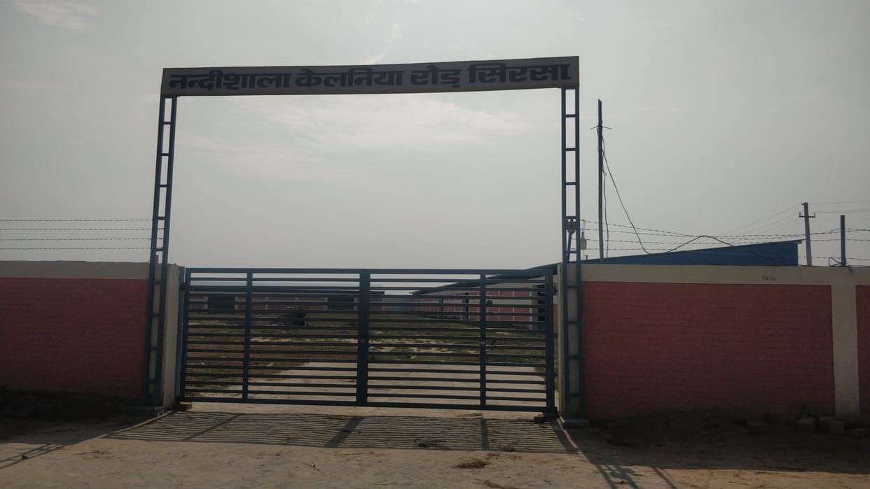 17 conditions laid down to handle nandi shala of city council
