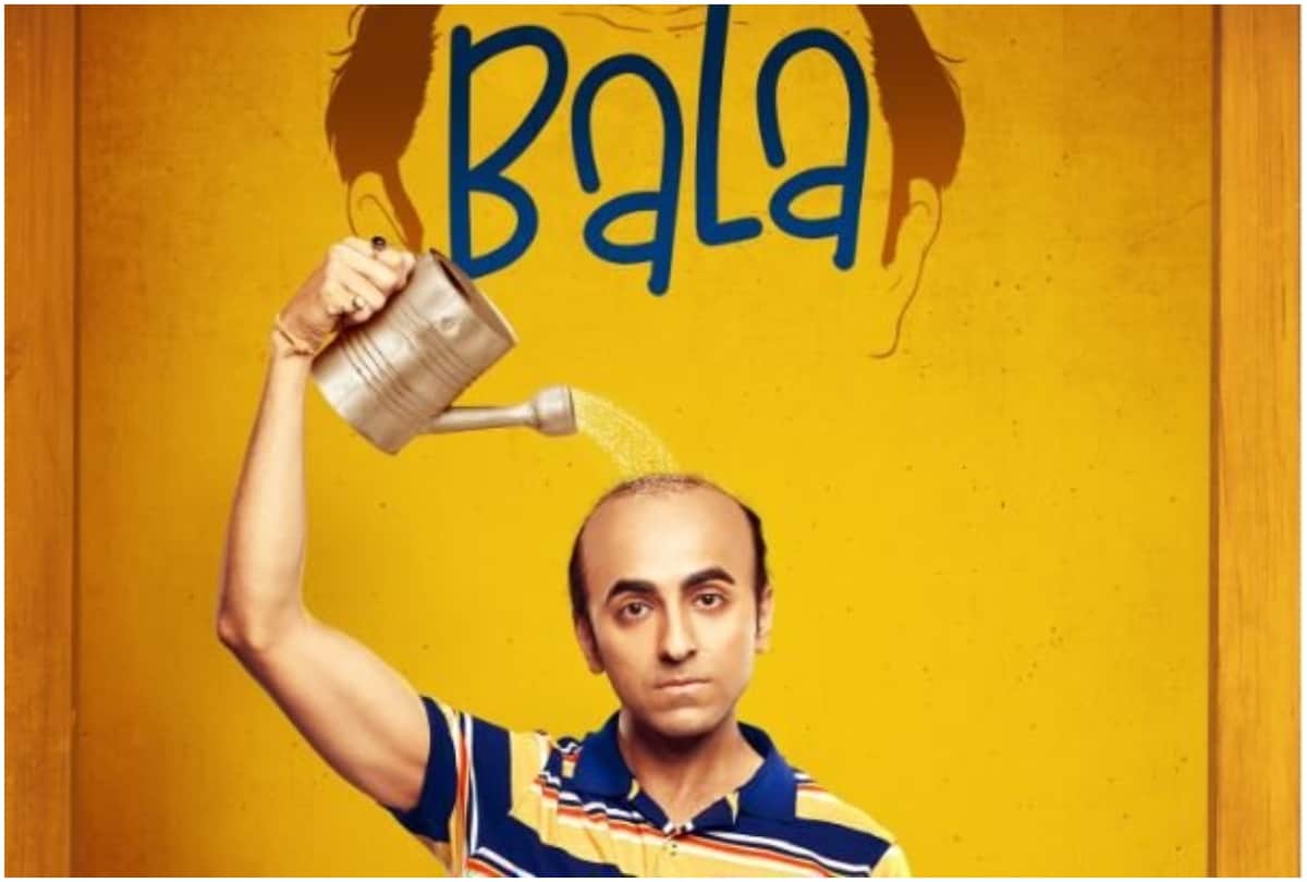 Ayushmann Khurrana Bala film box office collection day 5