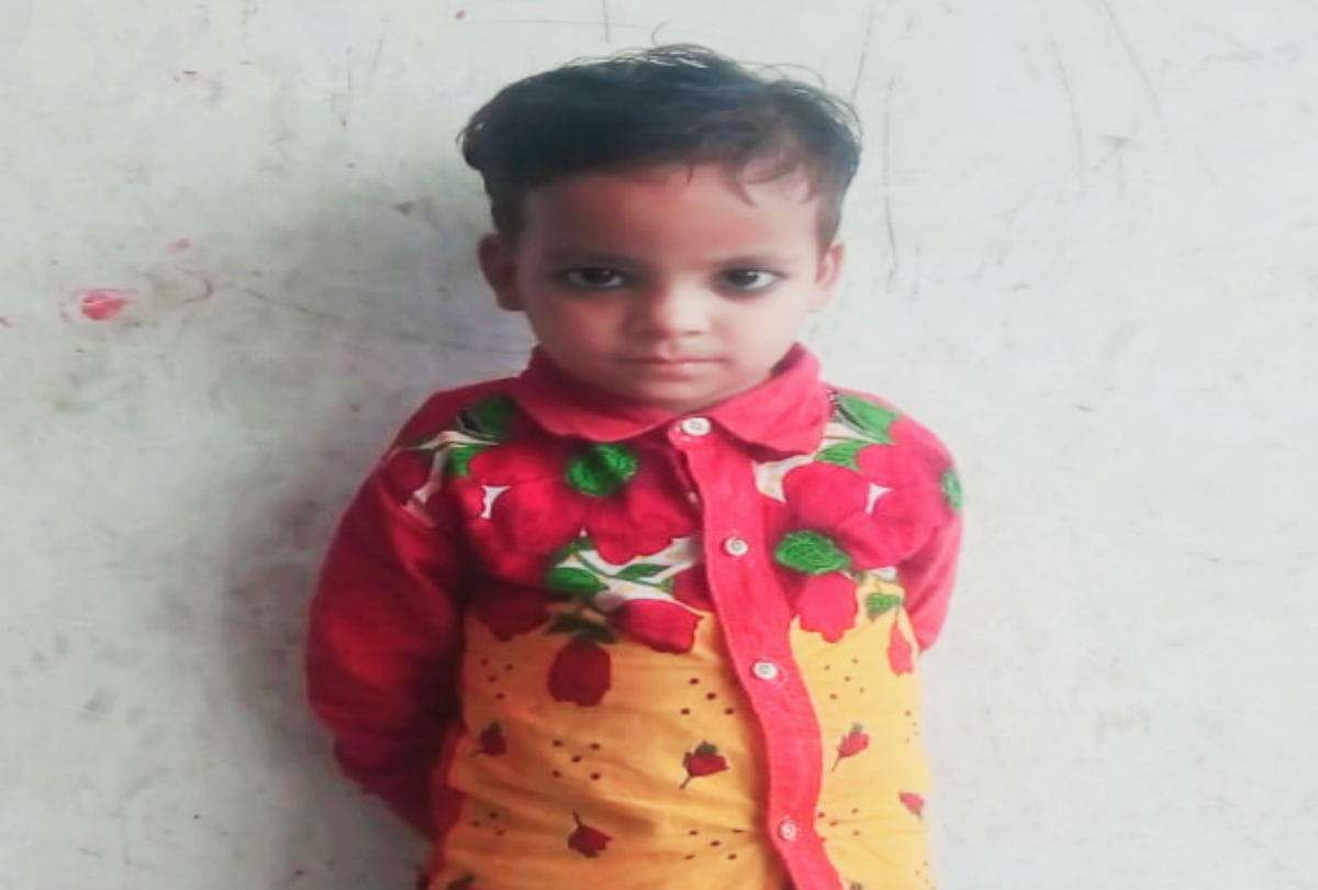 pig killed a five year old girl in kasganj