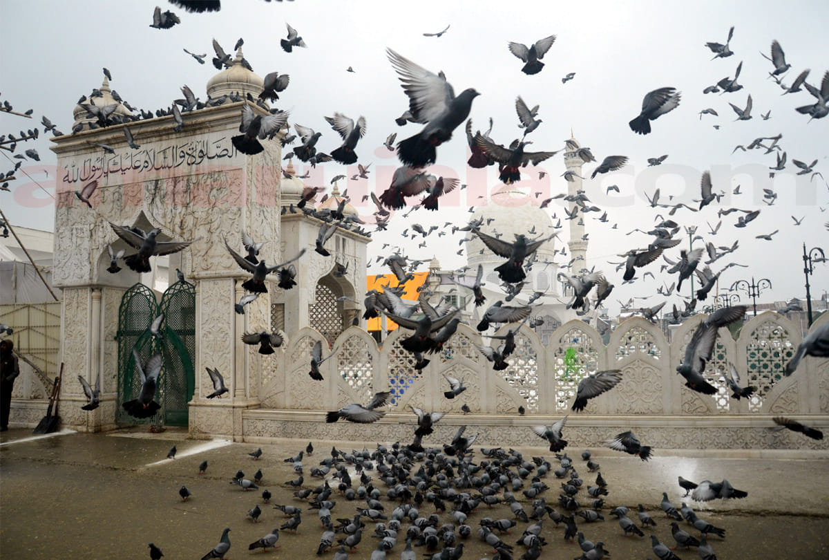 Not allowed to take out processions of Barawafat in Kashmir, terrorist attacks indicate fear