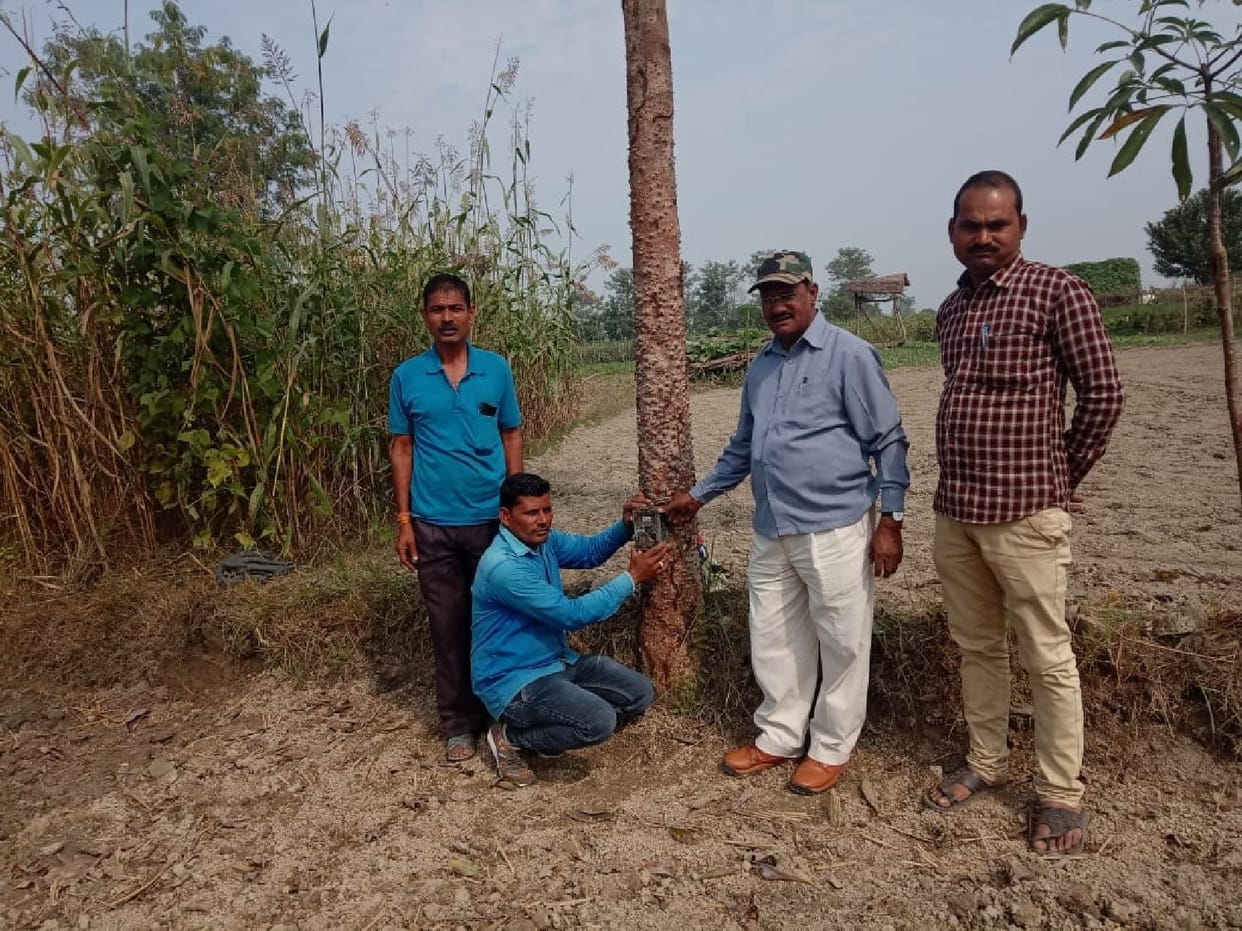 Tiger roars in village, villagers panic