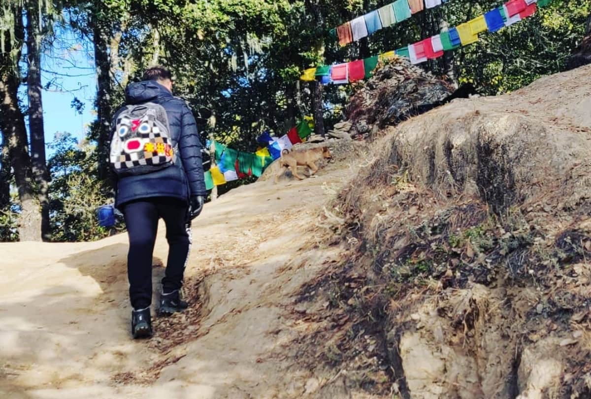 anushka sharma and virat kohli makes new friend in bhutan trip