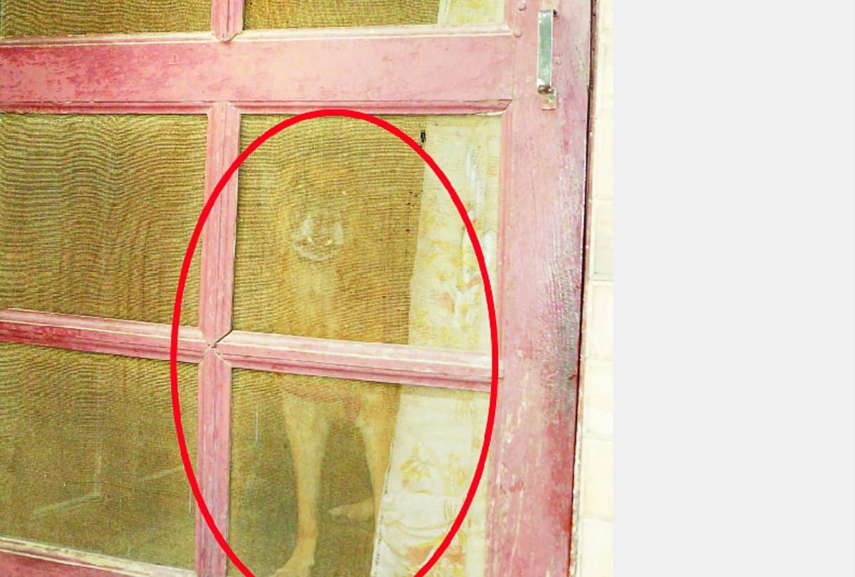 faridabad family murder case 4 members of same family found dead in house
