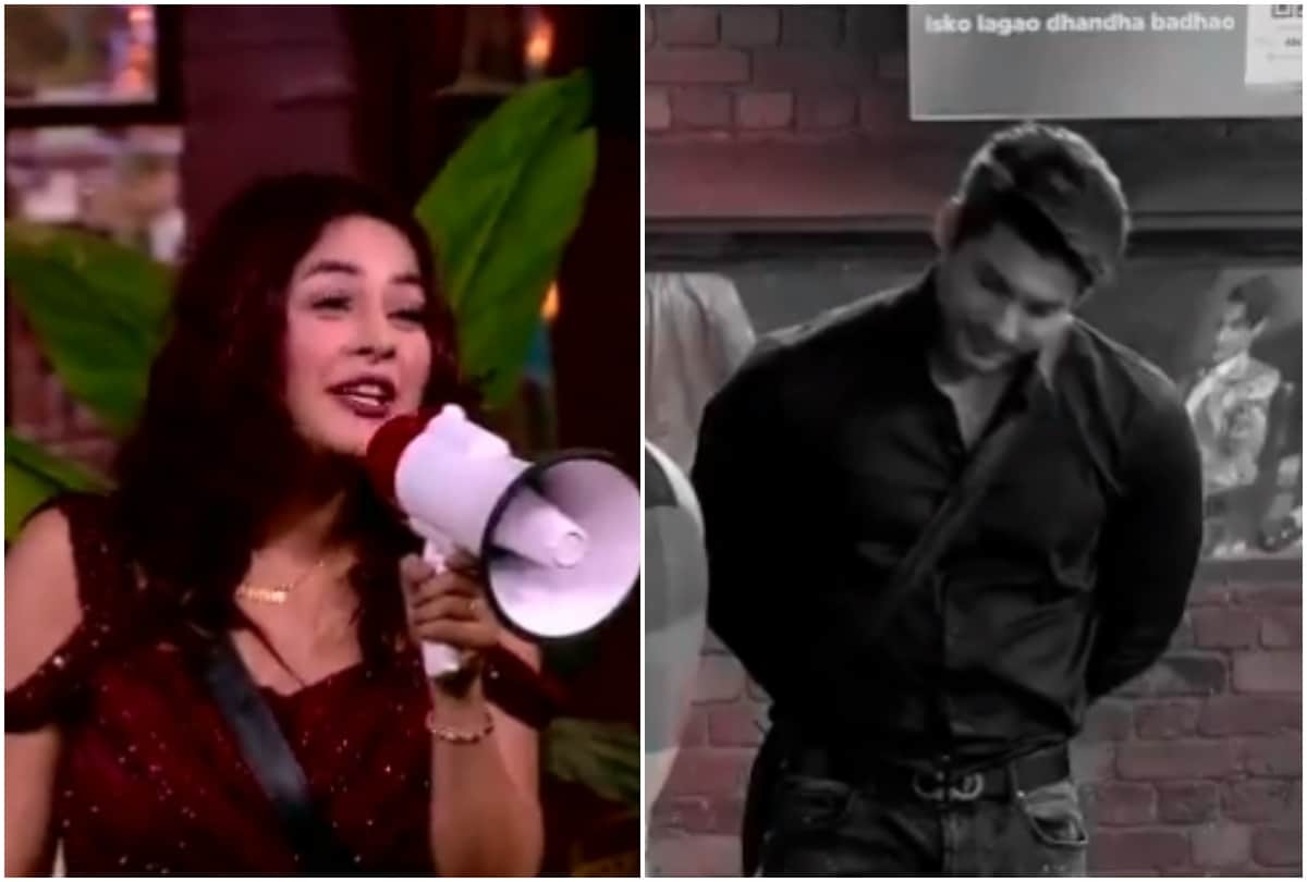 bigg boss 13 shehnaz gill brother talk about siddharth and paras