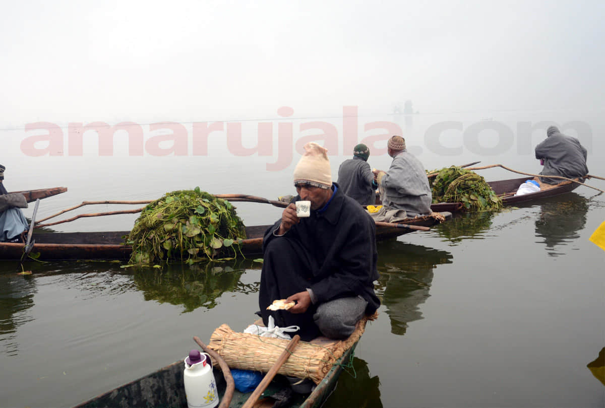 Weather clear in most parts of Jammu Kashmir, temperature rise