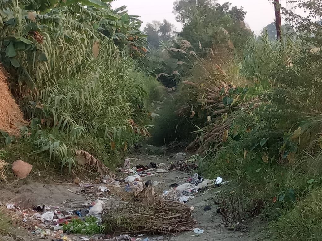 silt of canal will taken out