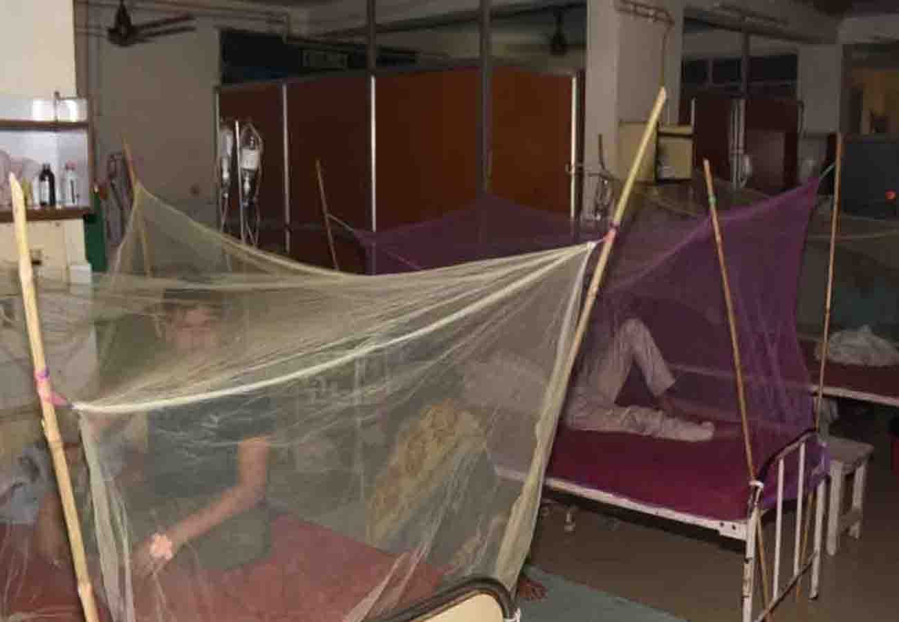 six people died due to dengue in kanpur