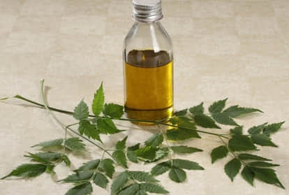 5 benefits of neem oil for your skin and hair