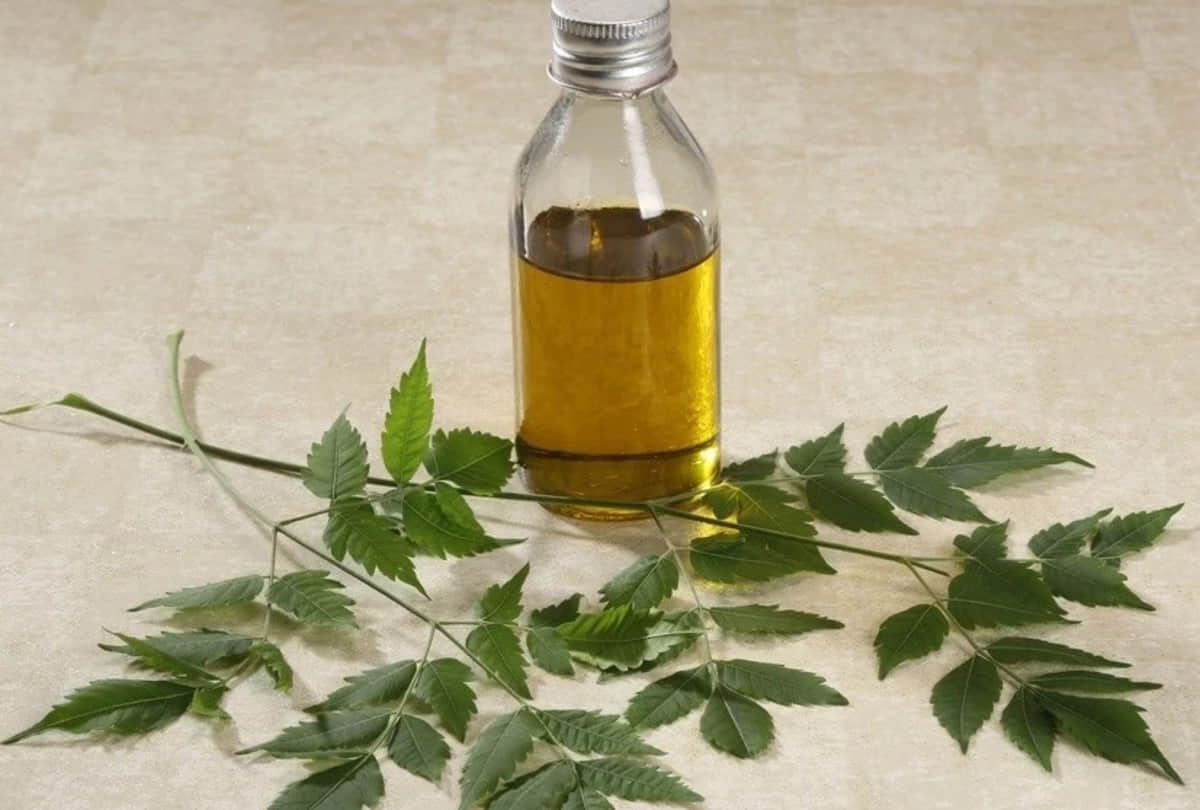 5 health benefits of neem oil for skin and hair