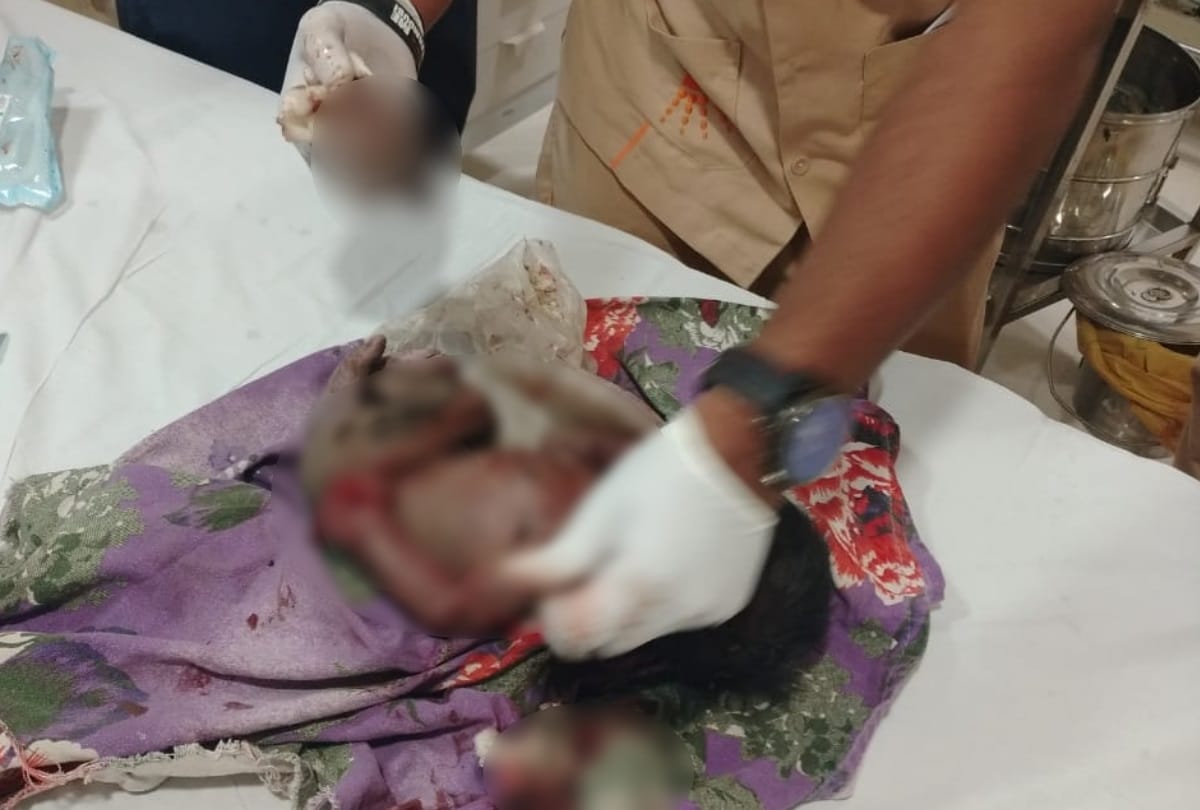 Faridabad mother left new born in garbage pigs injured one person save his life admitted in hospital
