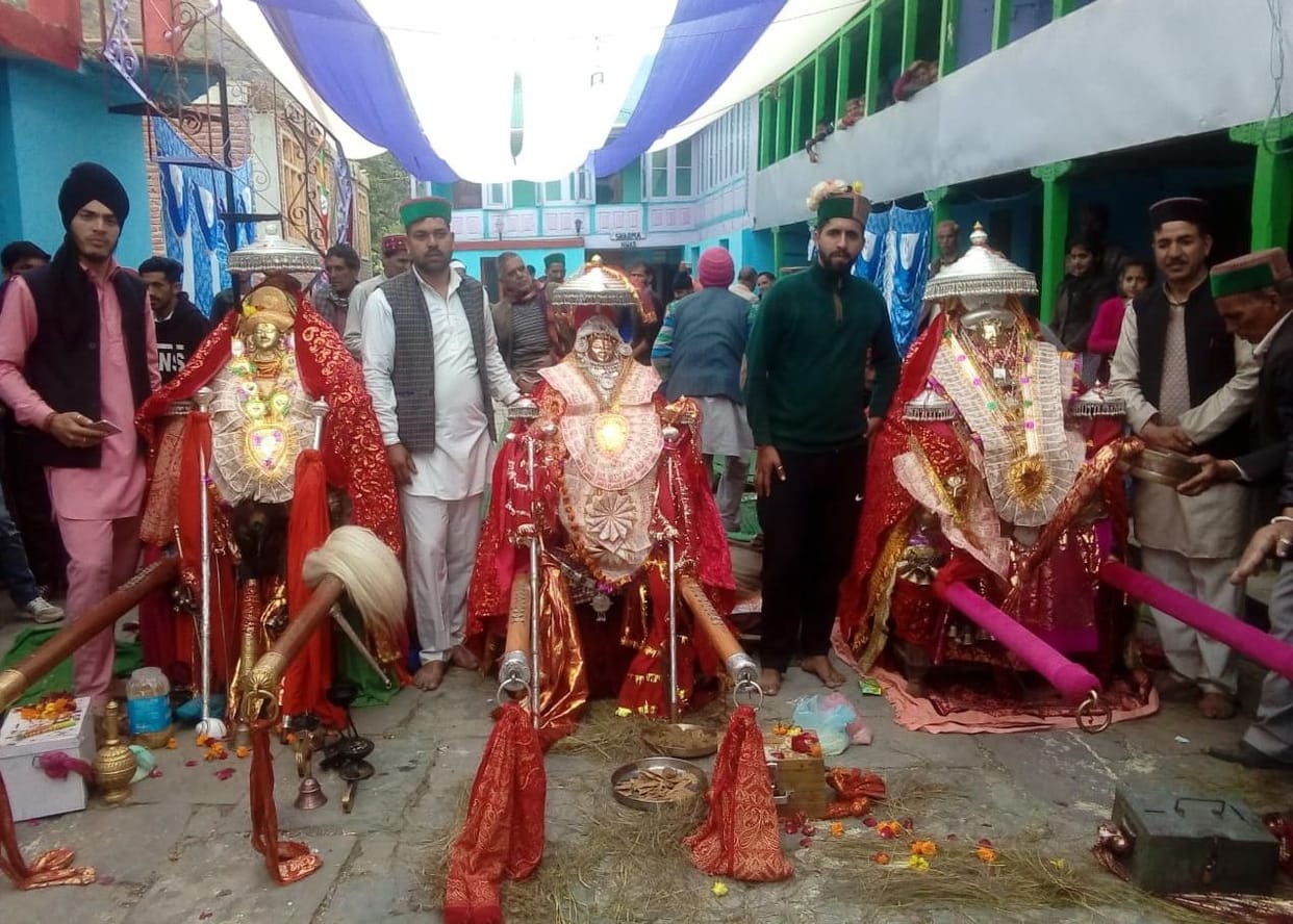 dev function in aani