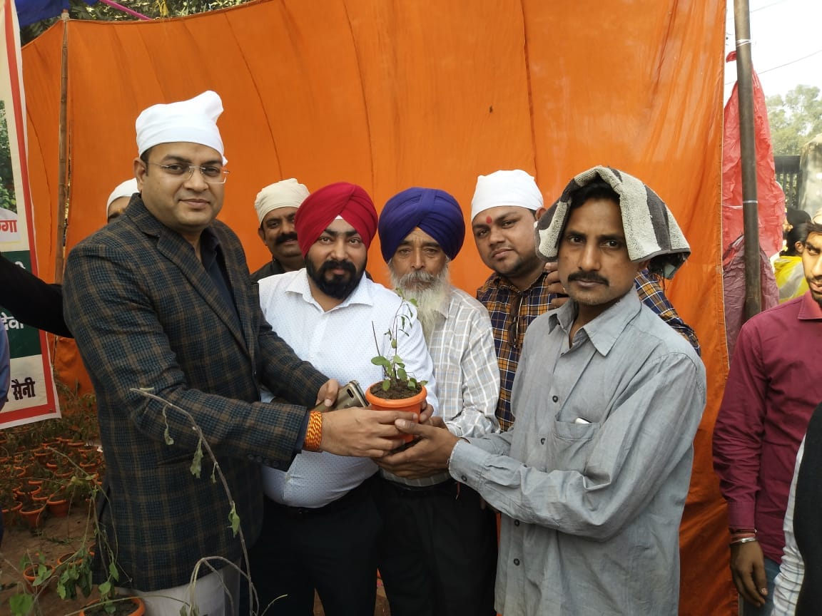 Plants distributed as offerings on the festival of light