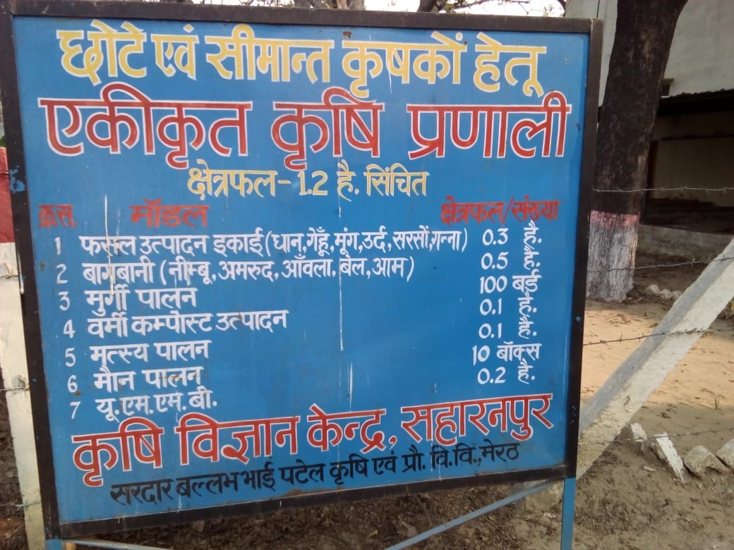 KVK has prepared a model to increase the income of small farmers