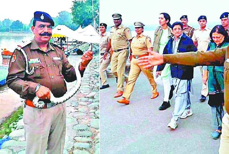 python found on sukhna lake chandigarh in presence of governor kiran bedi