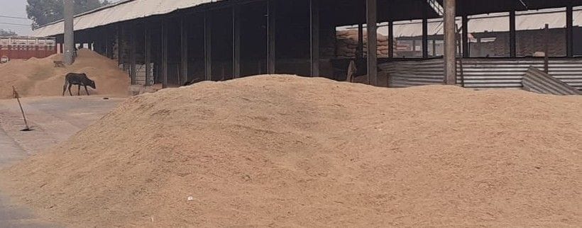 Hathras: decrease in target after more arrival of paddy