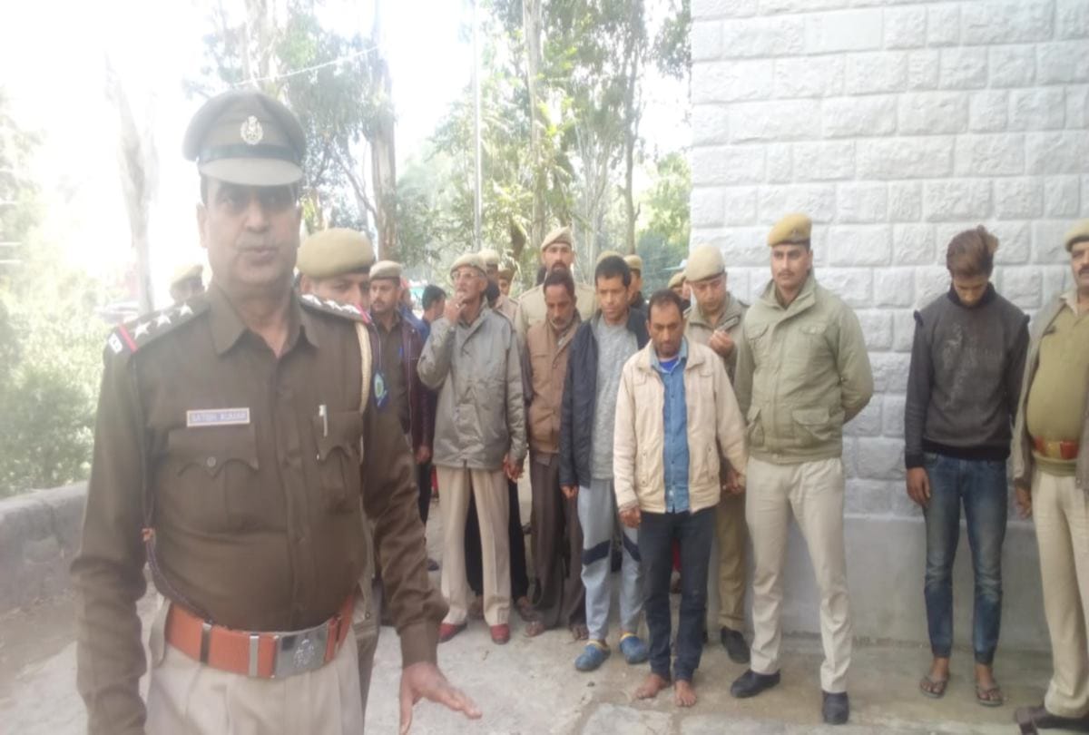 bail plea of all accused in cruelty with old woman case rejected in mandi hp
