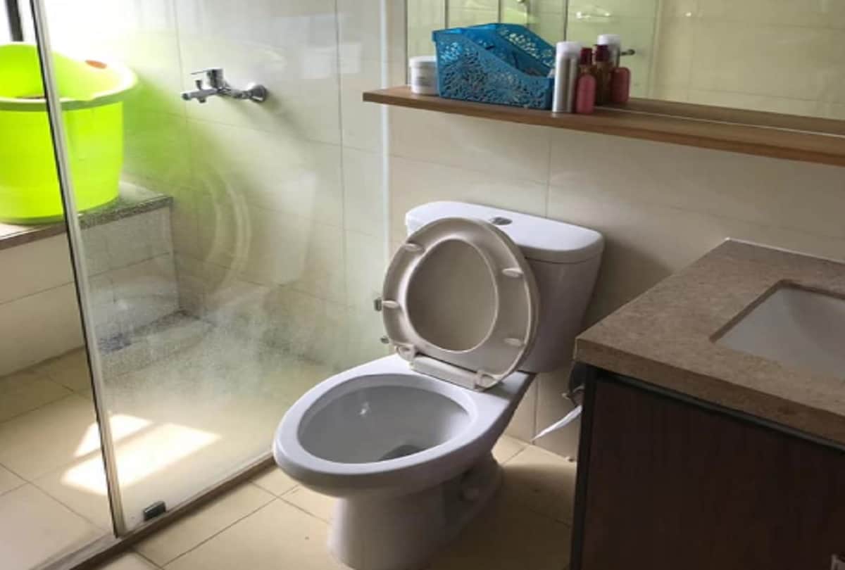 using smartphone in toilet be risk of getting rectal cancer, all you need to know