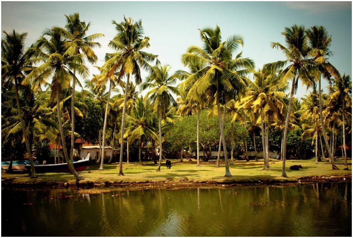 places in india to celebrate new year this winter