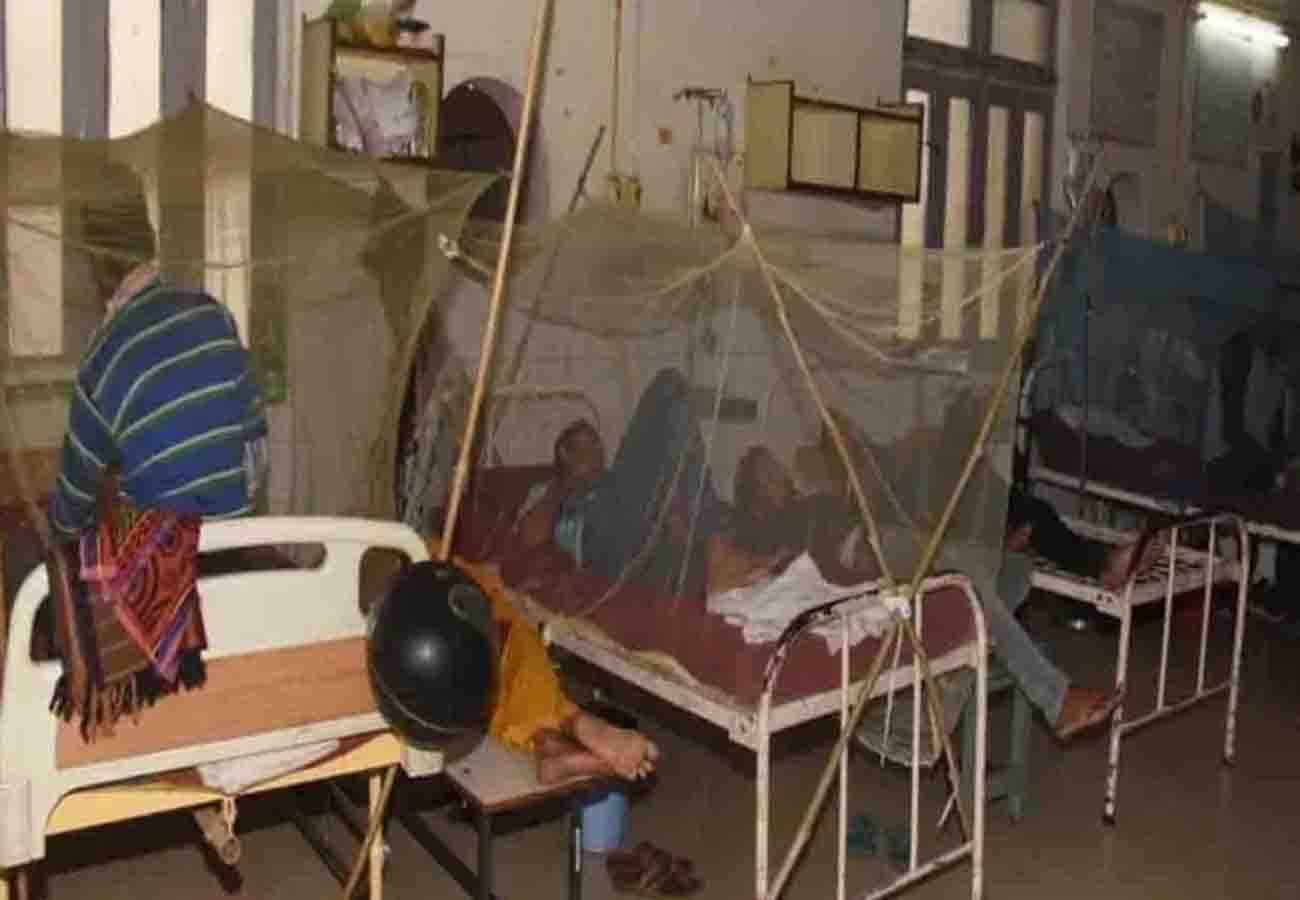 Five more patients died due to dengue in kanpur
