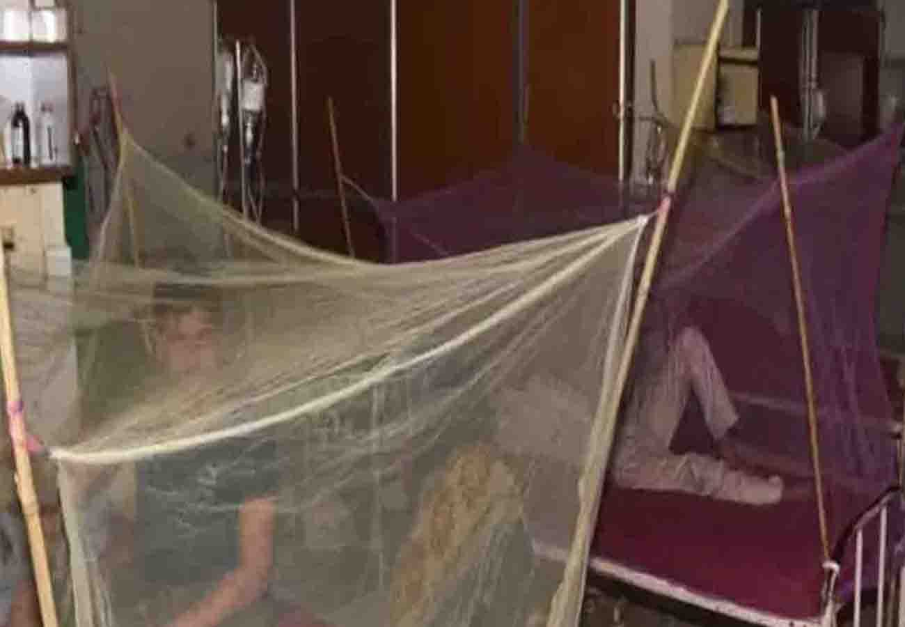 Five more patients died due to dengue in kanpur