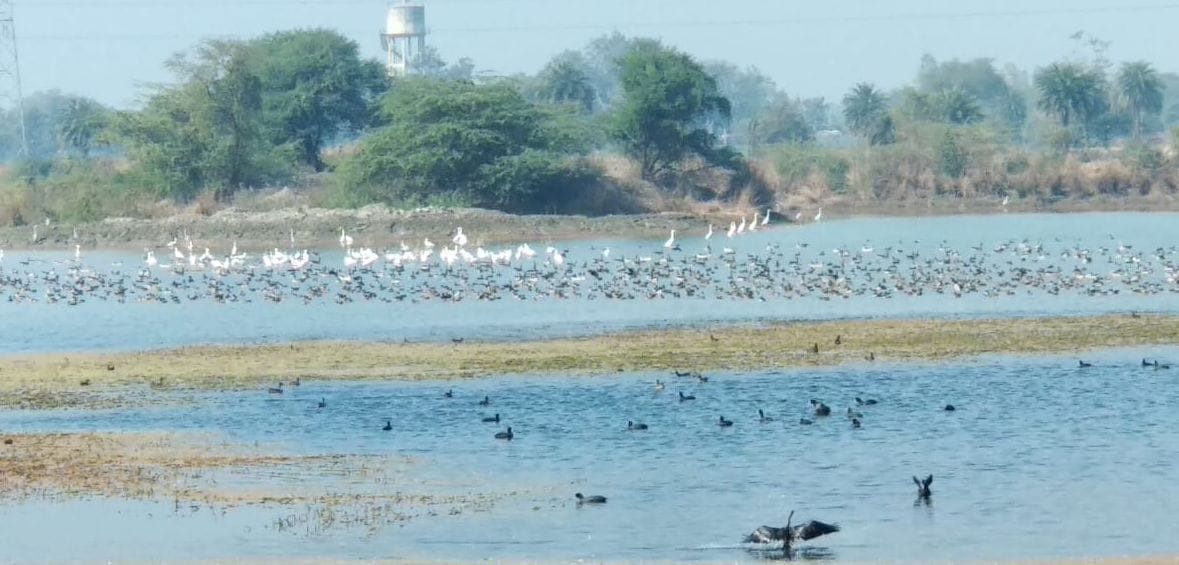 bird sanctuary
