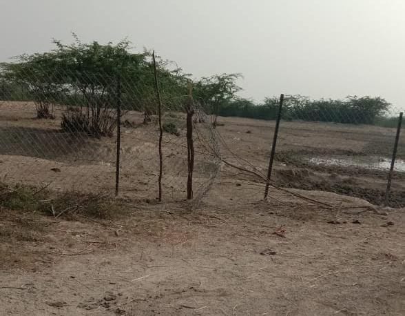 Gaushalas lying incomplete in the area, farmers upset
