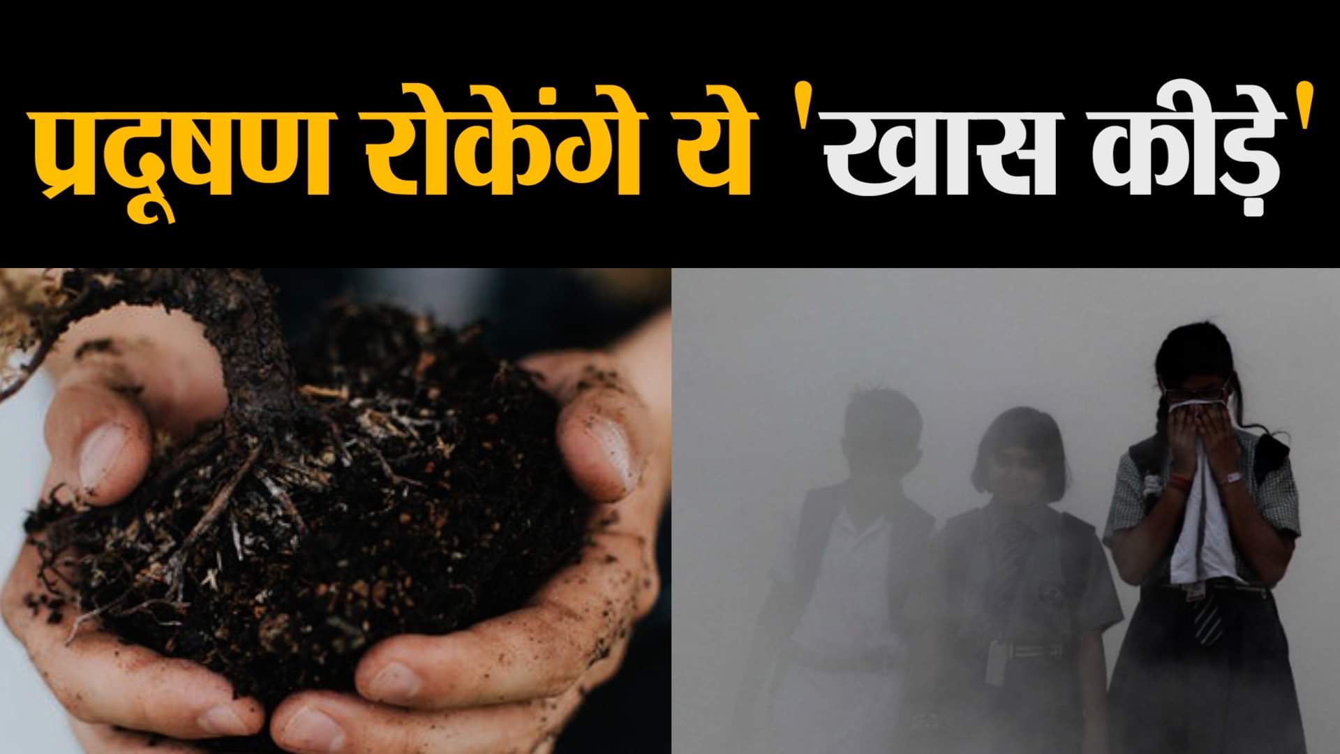 डिजाइन पिक्चर