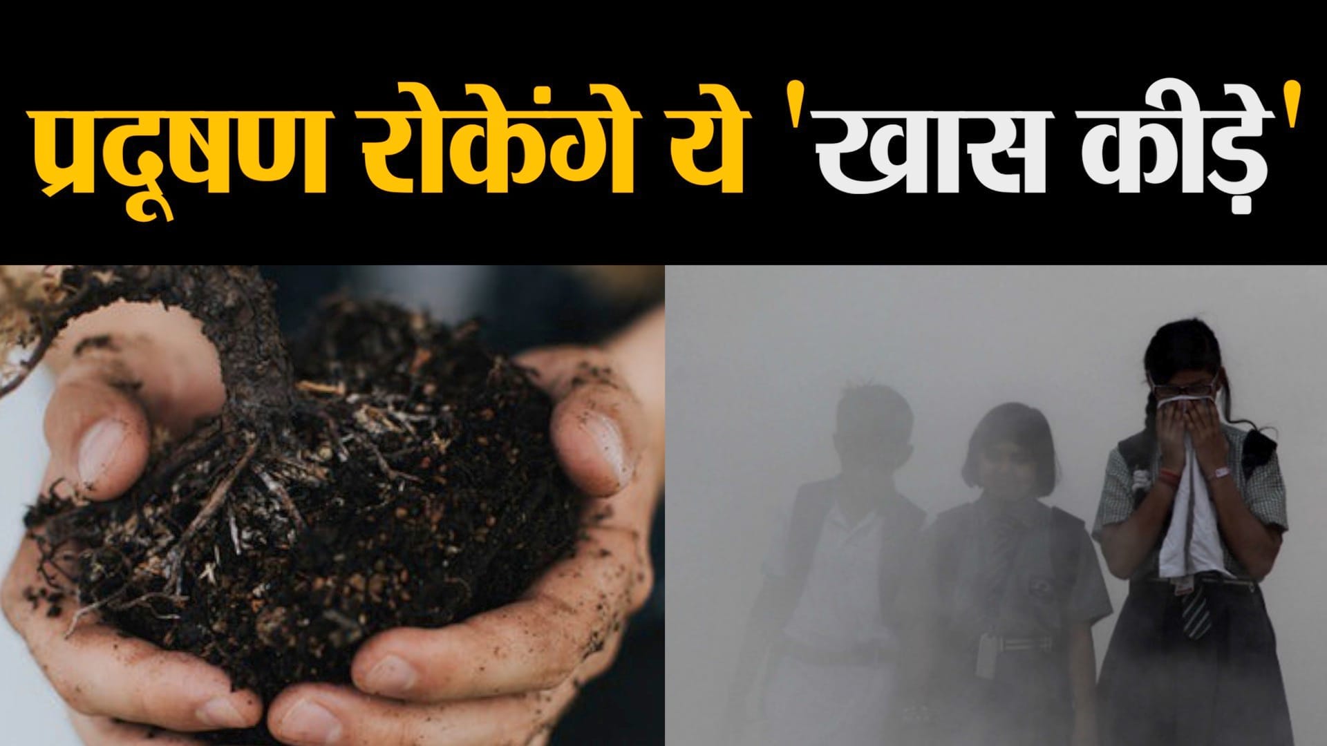 डिजाइन पिक्चर