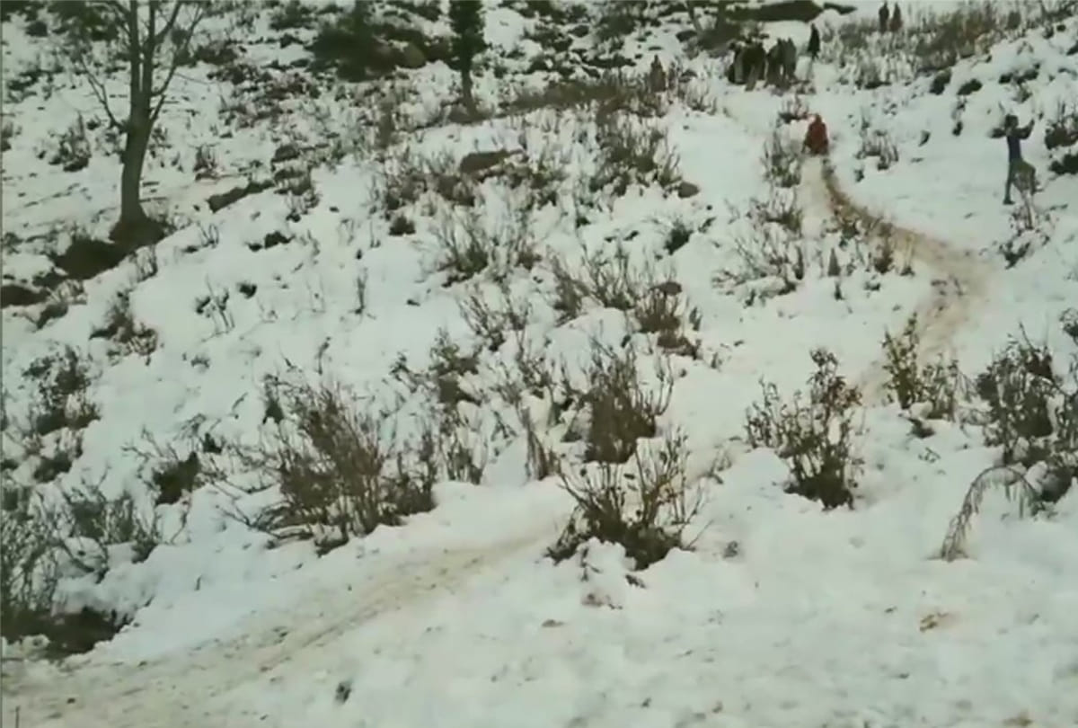 Nathatop In Jammu-Kashmir, Number Of Tourists Increased After Snowfall, Snowfall Nathatop photos