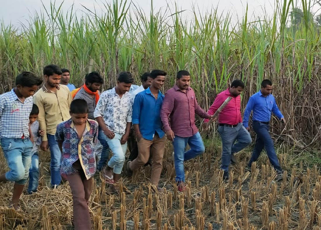 tiger reached in village