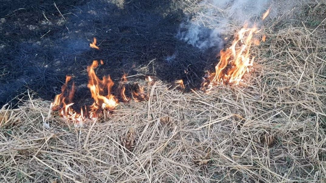 fire