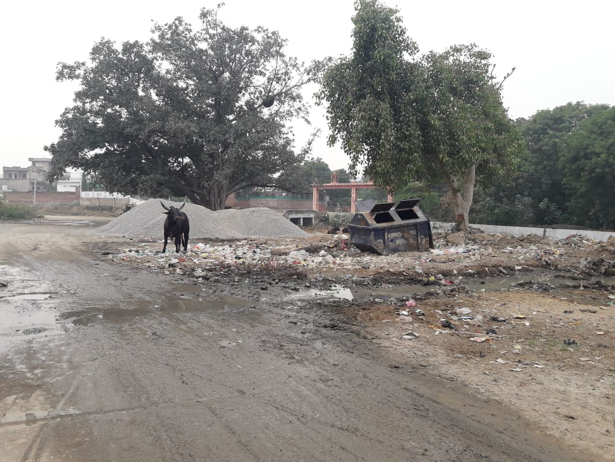 cleanliness survey but city council prepration slow