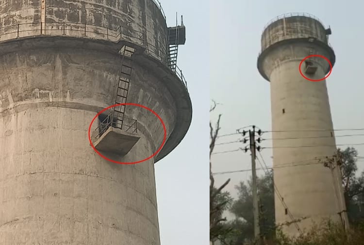 Calf mounted on a water tank In Rewari of Haryana