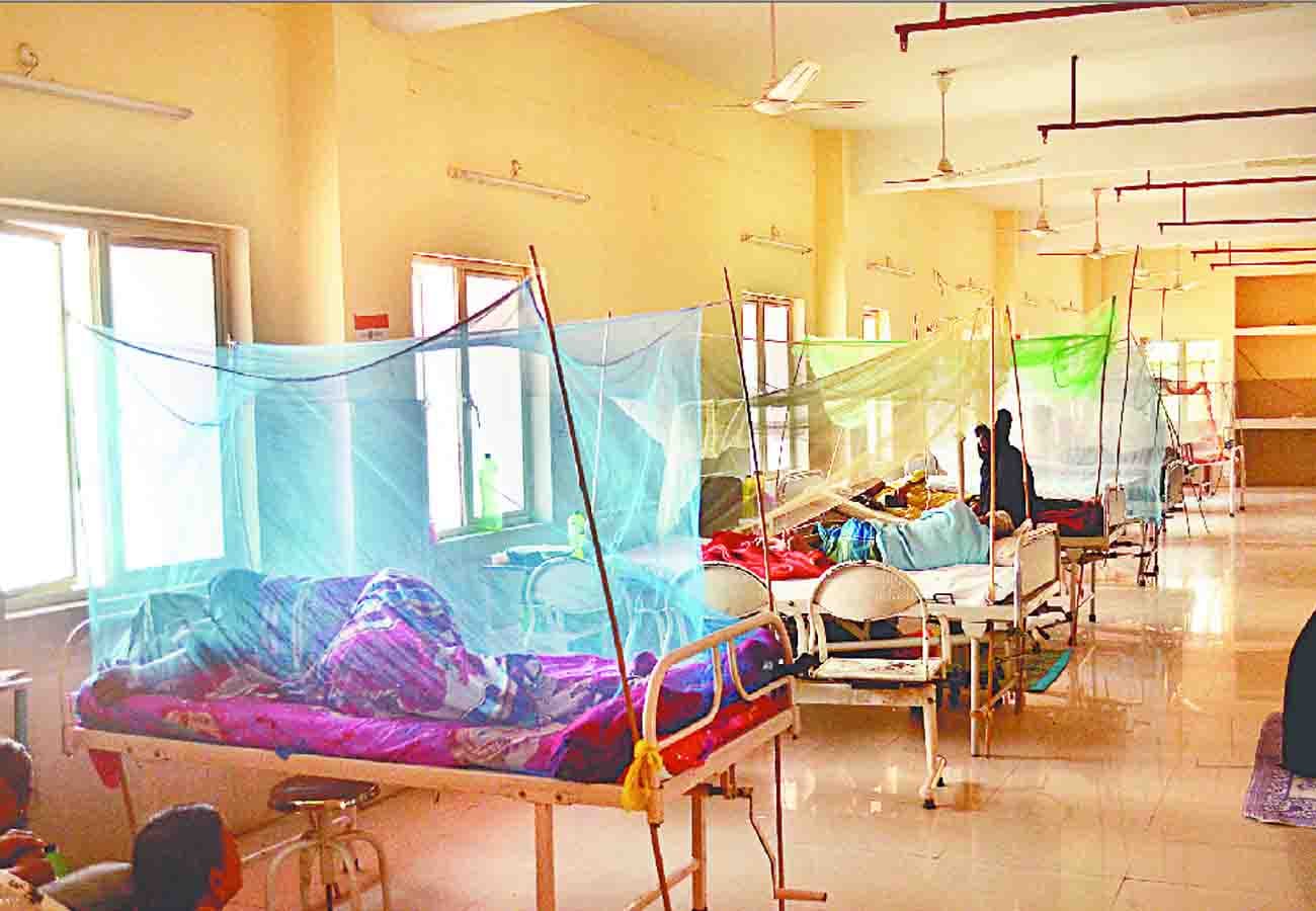 ten people died due to dengue in kanpur