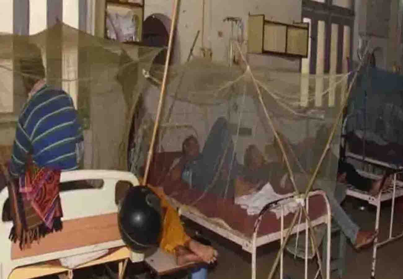 ten people died due to dengue in kanpur