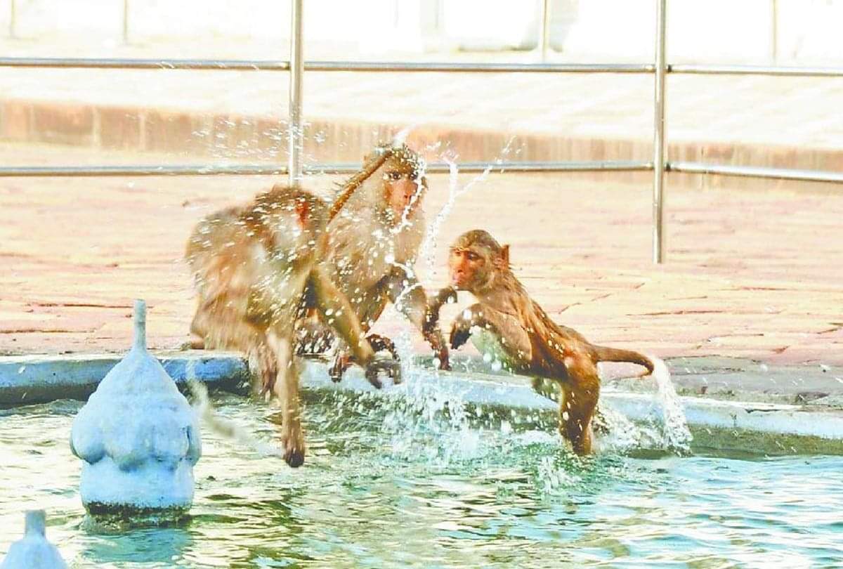 how to have a good day