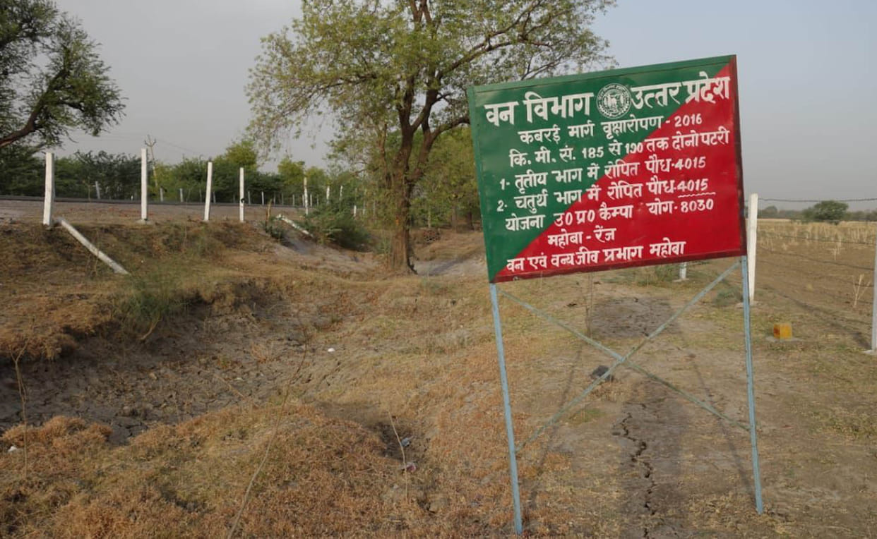 Illegal possession of 494 hectares of forest land in Bundelkhand