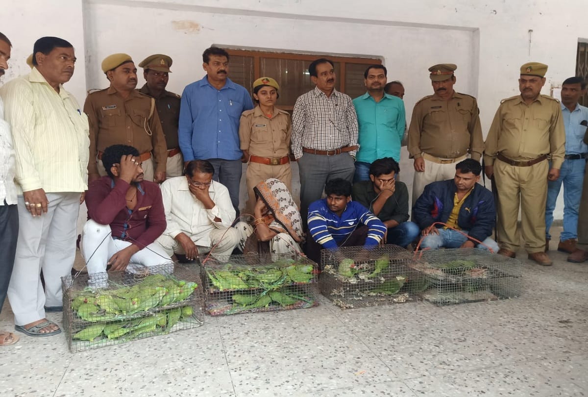 Police and STF arrested six smugglers