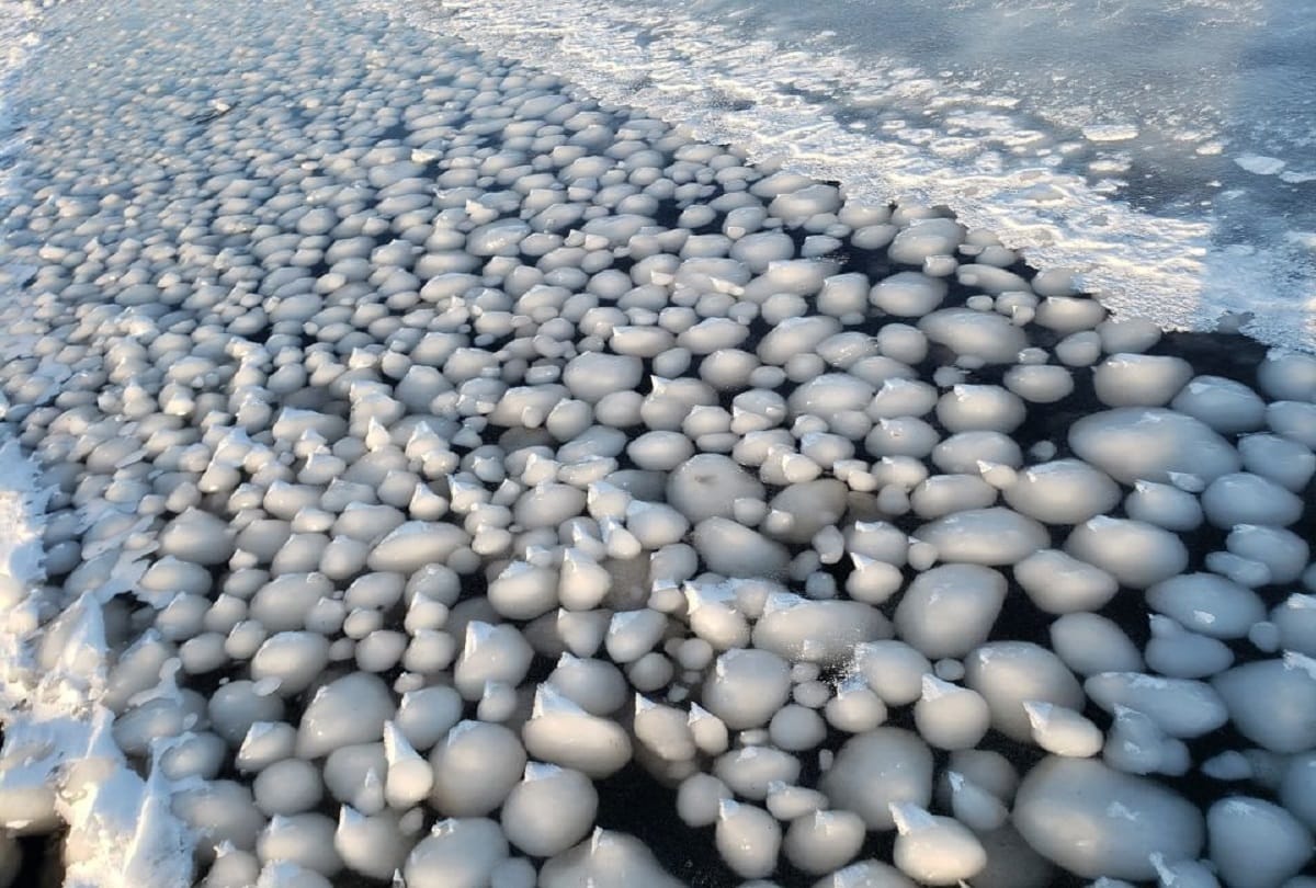thousands of egg shaped ice balls cover finland beach