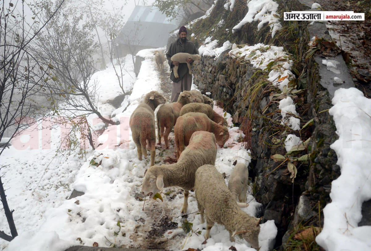 rain after snowfall in jamm kashmir, snowfall in jamm kashmir