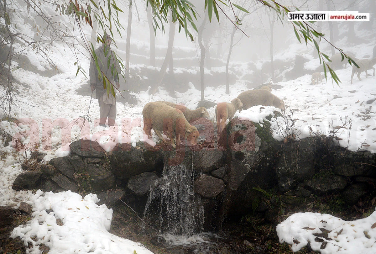 rain after snowfall in jamm kashmir, snowfall in jamm kashmir