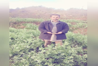 Himachal farmers will be rich with peas of America, Nauni University did successful production