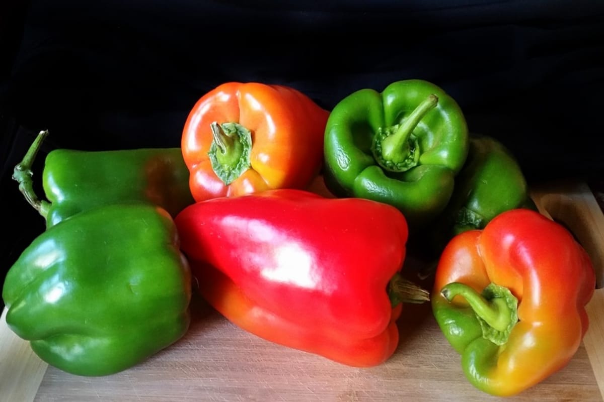 know interesting facts about capsicum discovered by Columbus