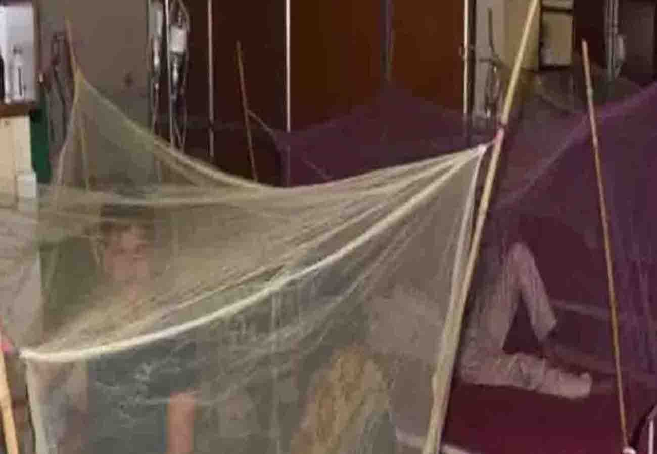 four people died due to dengue in kanpur up