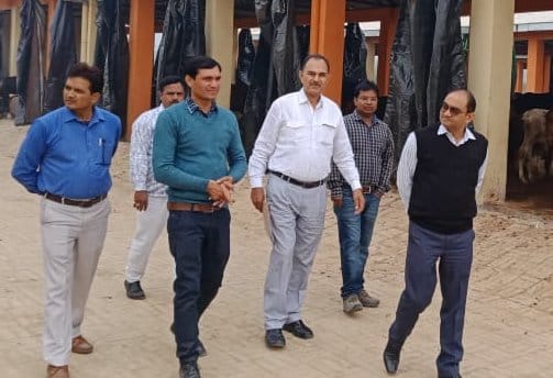 'Government getting caught, leaving rural cow dynasty open'