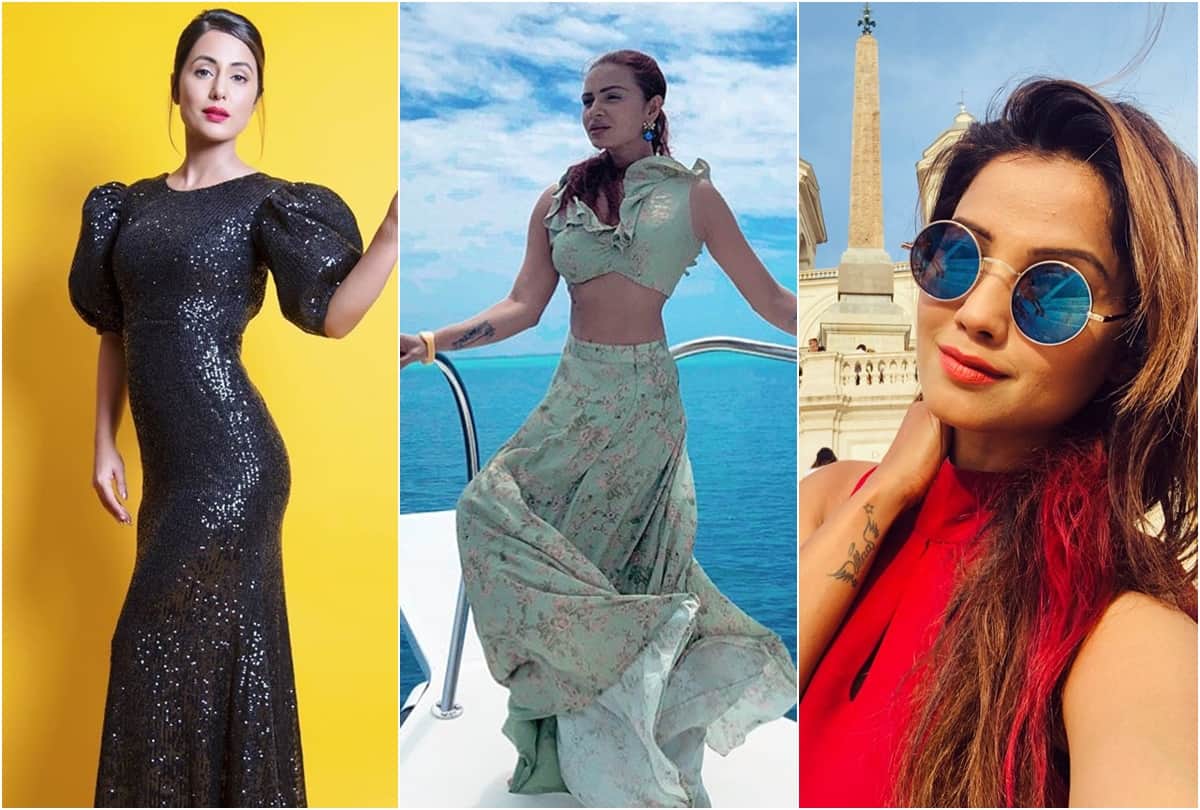 Popular TV Bahus played negative role Aamna Sharif Hina Khan Aashka Goradia Adaa Khan Anita