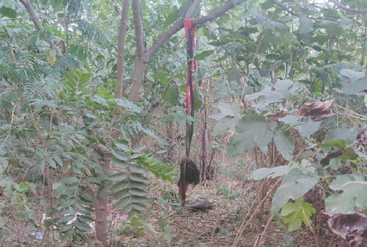 Skeleton found in forest of Sector-53 Chandigarh investigation started amidst questions